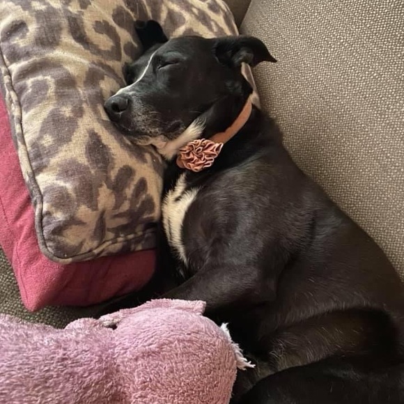 Meet your Posher, Emily - Picture 5 of 5